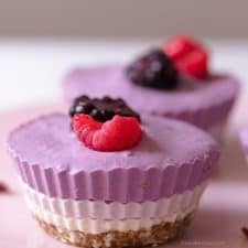 No Bake Tricolor Mini Cheesecake-image