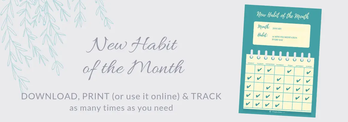 Download the New Habit Tracker for free