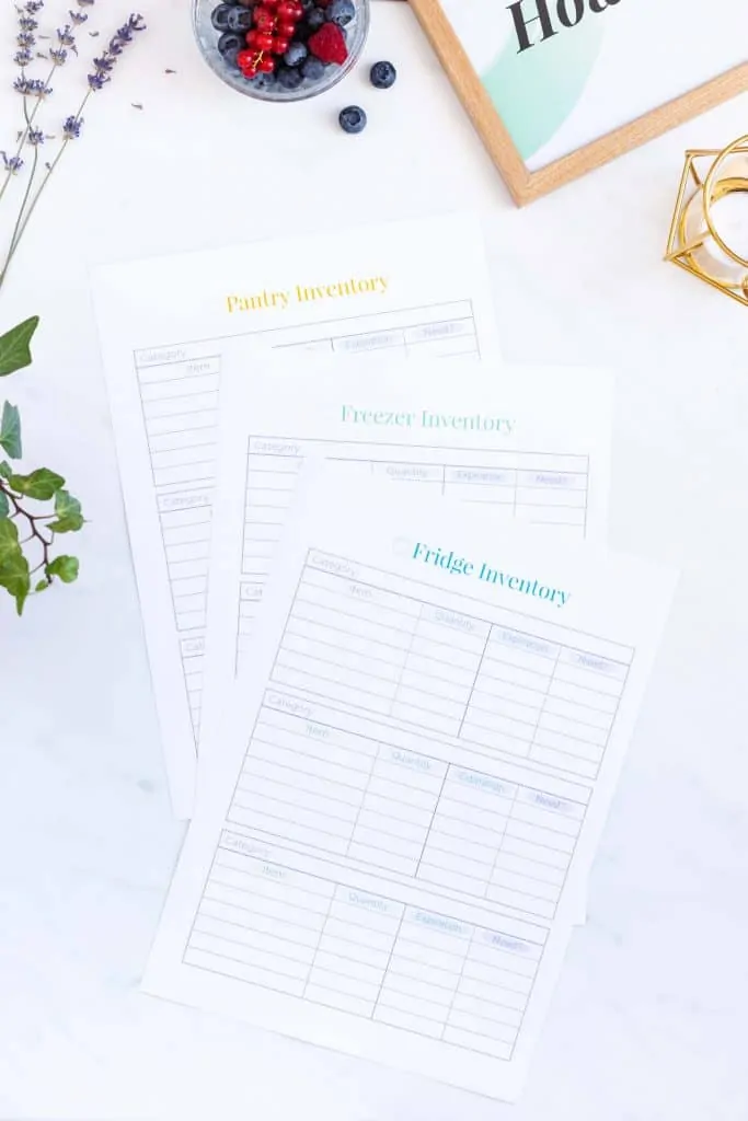Healthy Eating Organizer Inventory Pages
